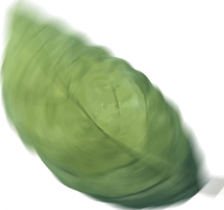 hoja3