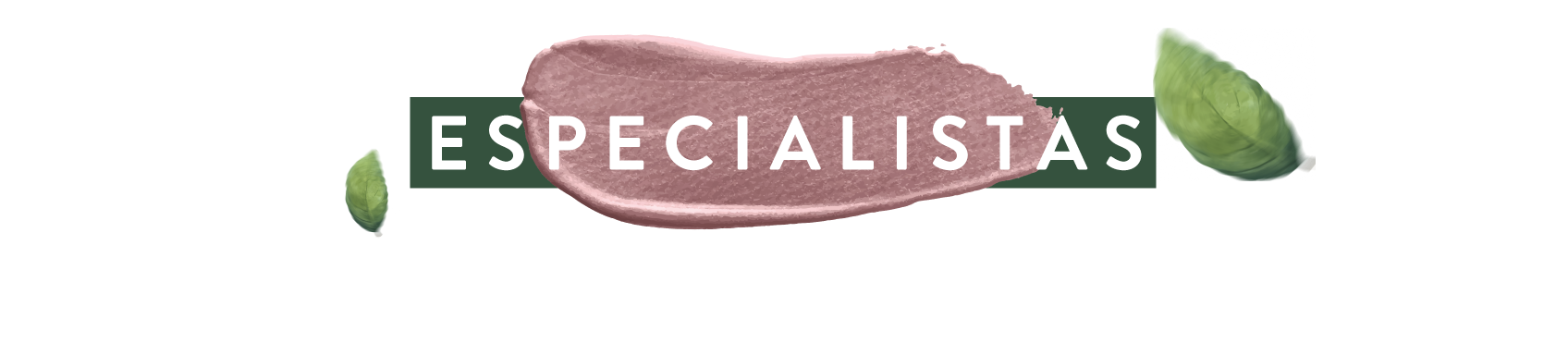 especialistas_text